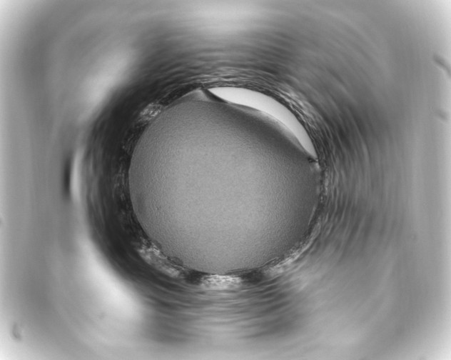 X0000093450429200711021118