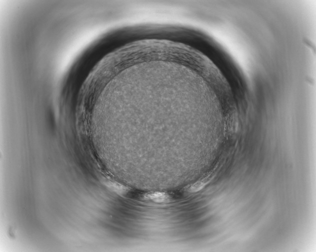 X0000093450431200711021118