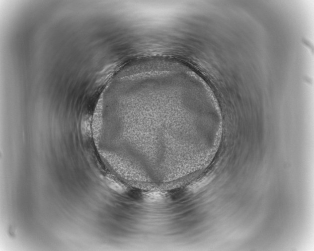 X0000093450432200711021118