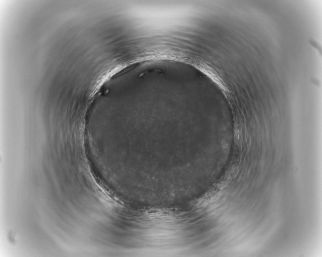 X0000093450434200711021117