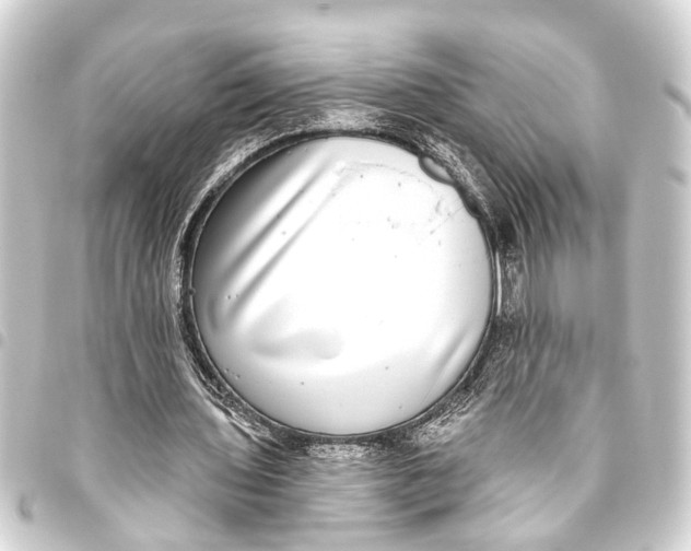 X0000093450435200711021117