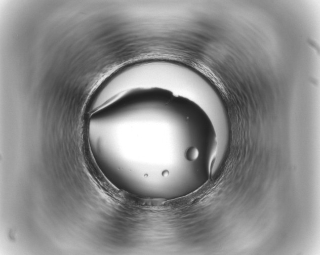 X0000093450436200711021117