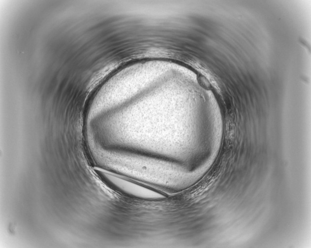 X0000093450437200711021117