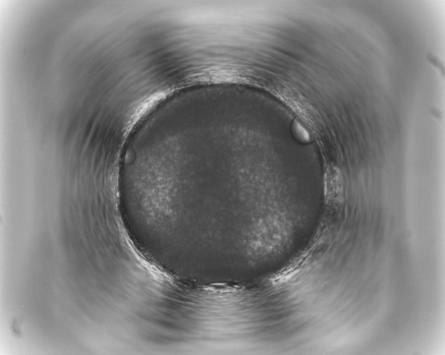 X0000093450438200711021117