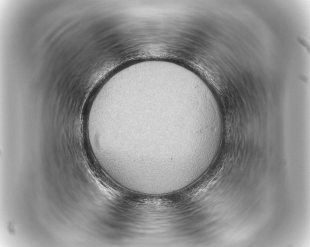 X0000093450439200711021117