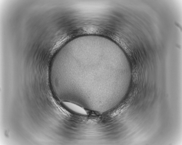 X0000093450442200711021117