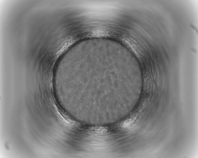 X0000093450443200711021117