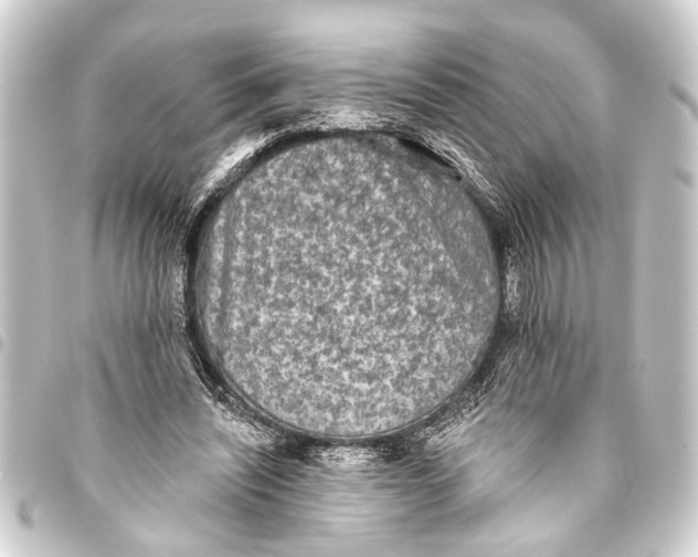 X0000093450444200711021117