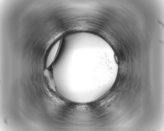 X0000093450446200711021117