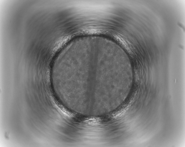 X0000093450447200711021117