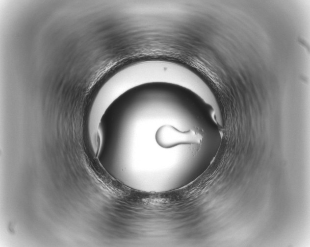 X0000093450448200711021117