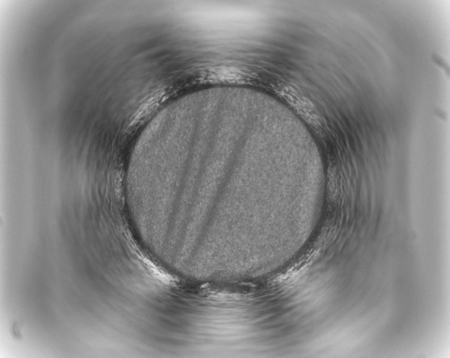 X0000093450449200711021117