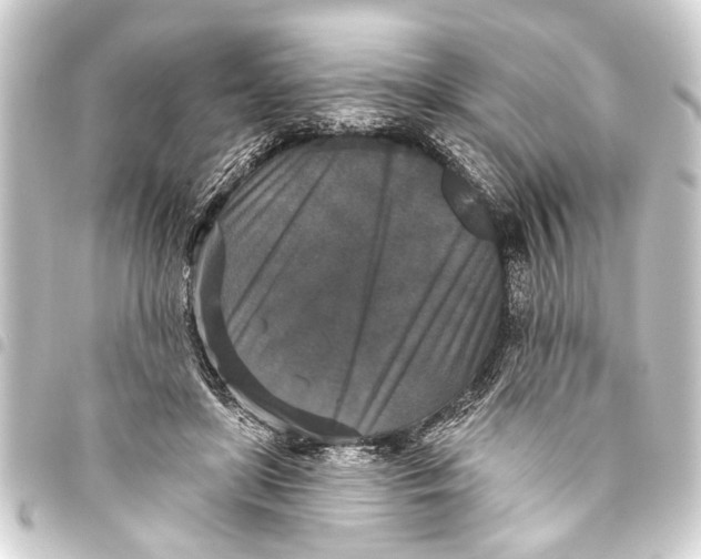 X0000093450451200711021117