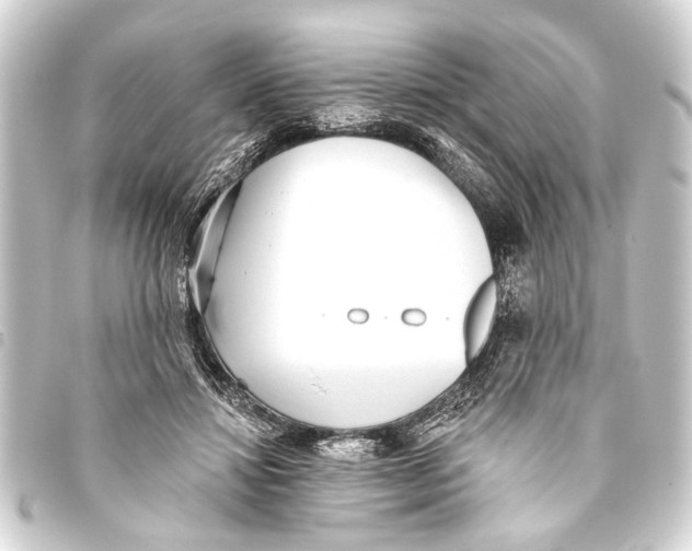 X0000093450452200711021117