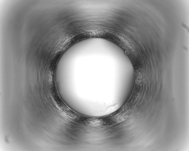 X0000093450456200711021117