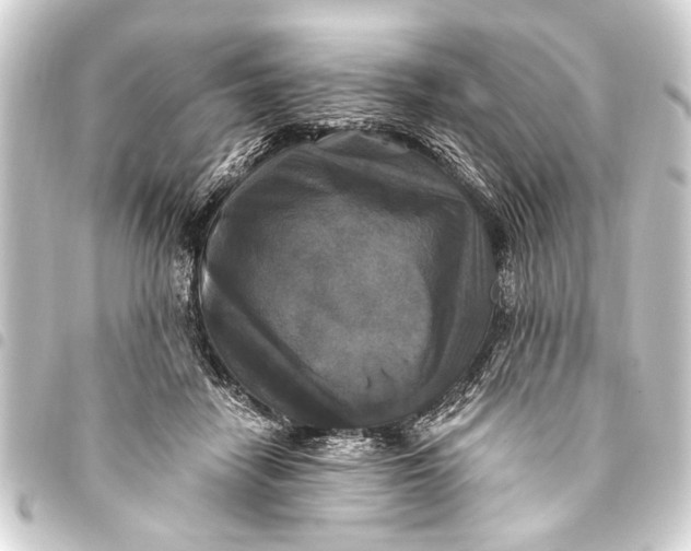 X0000093450458200711021117