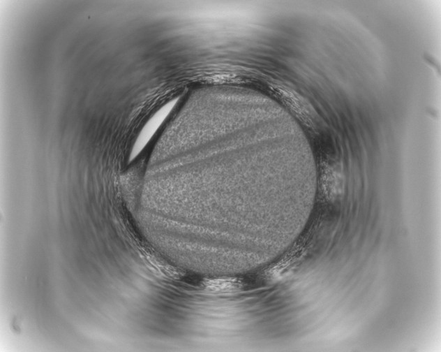 X0000093450461200711021117