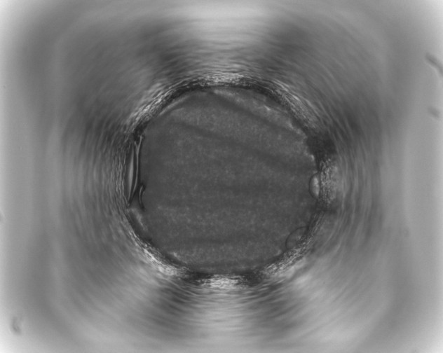 X0000093450462200711021117