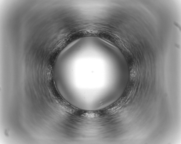 X0000093450464200711021117