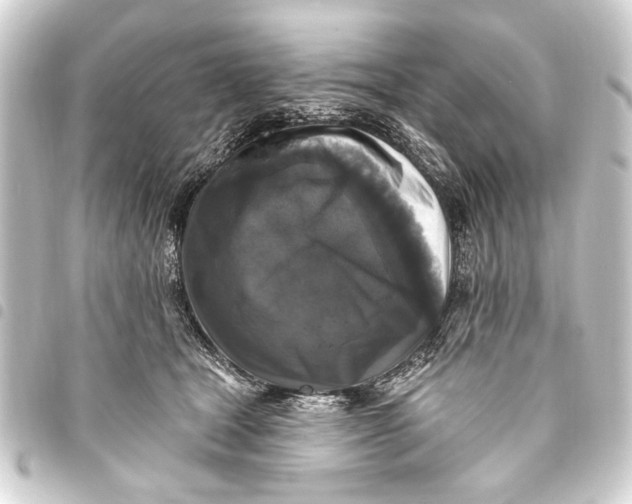 X0000093450465200711021117