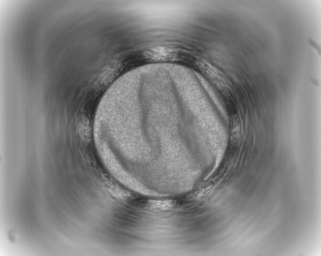 X0000093450469200711021118