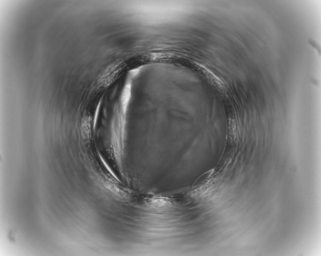 X0000093450475200711021118