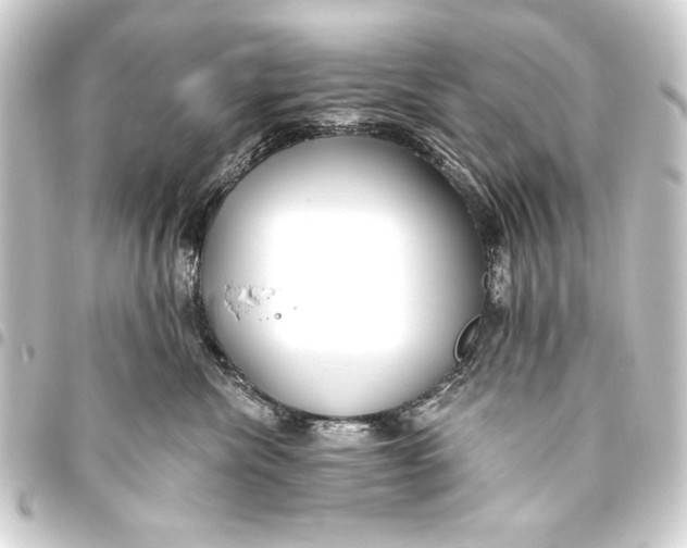 X0000093450476200711021118