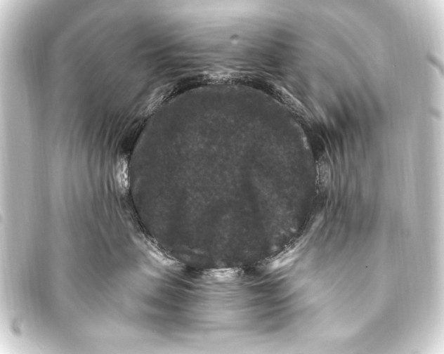 X0000093450479200711021118