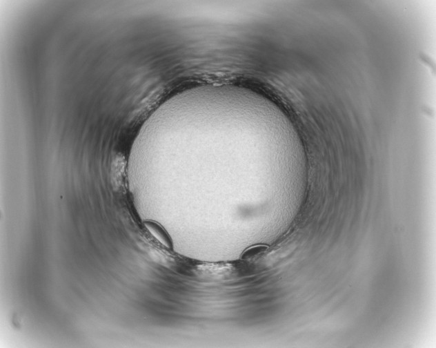 X0000093450480200711021118