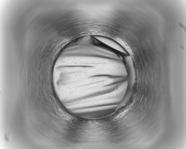 X0000093450481200711021117