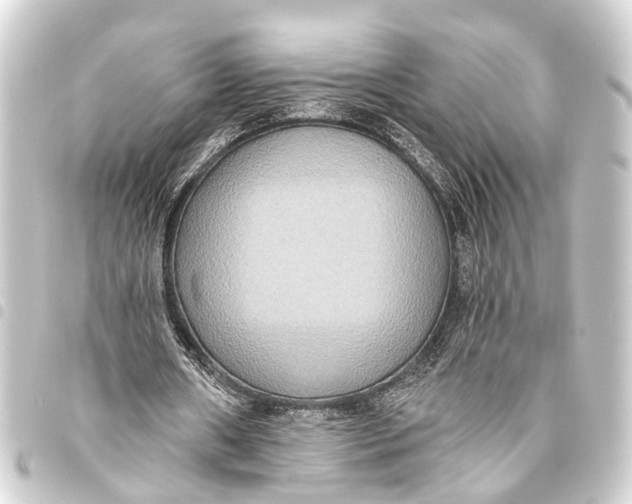 X0000093450482200711021117