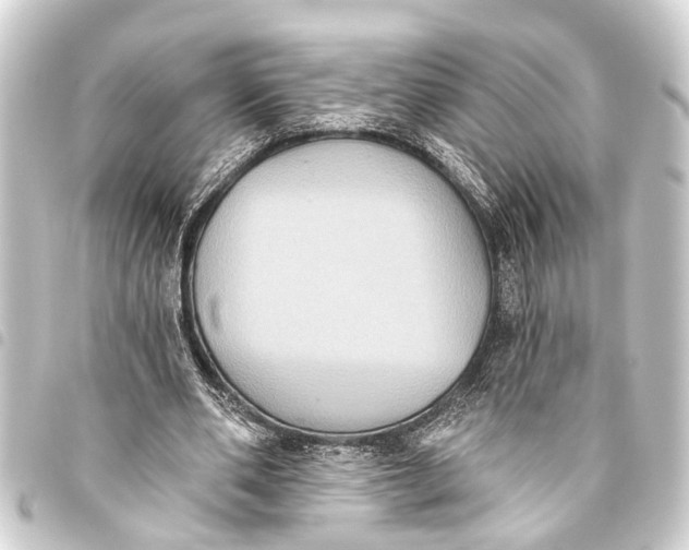 X0000093450486200711021117