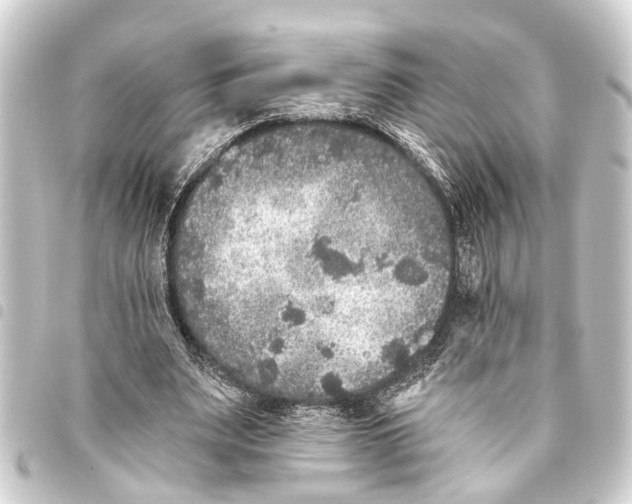 X0000093450487200711021117