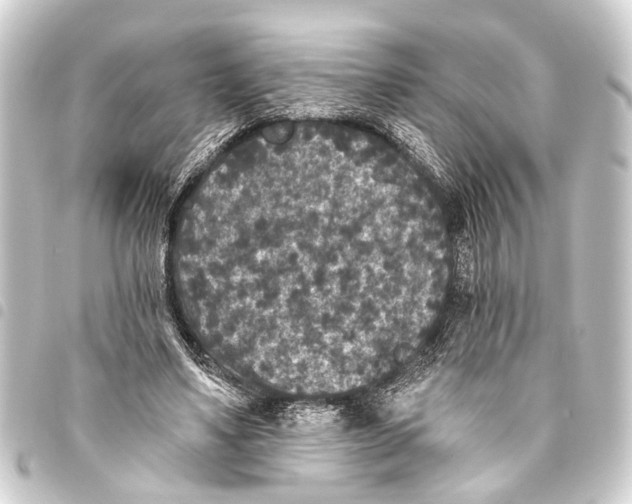 X0000093450491200711021117