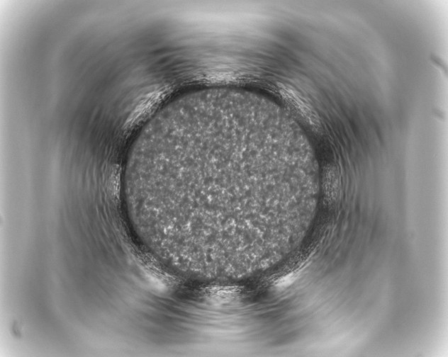 X0000093450495200711021117