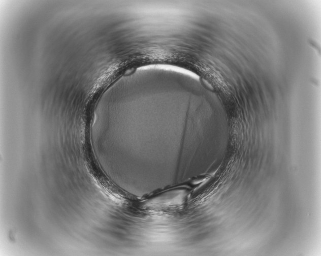 X0000093450496200711021117