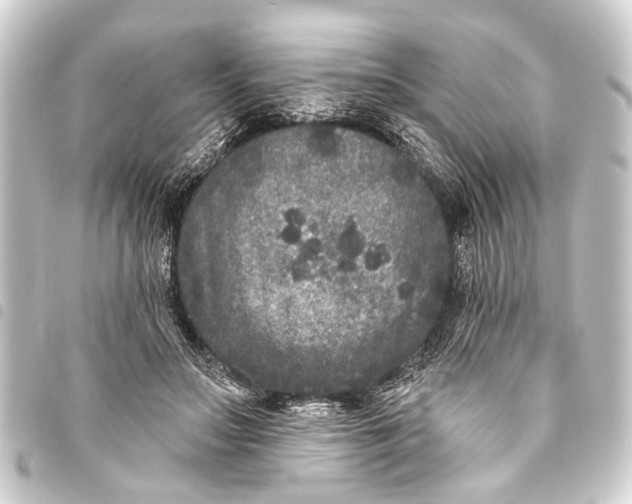 X0000093450499200711021117