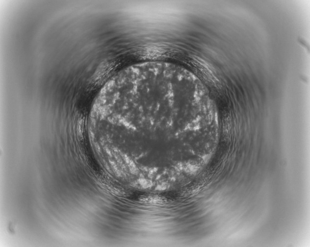 X0000093450503200711021117