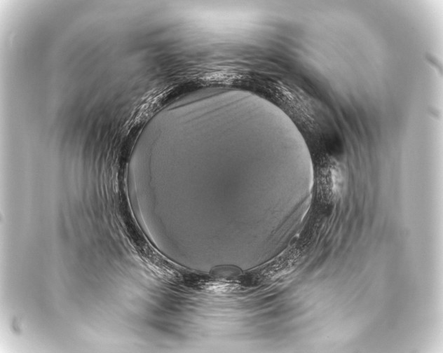 X0000093450504200711021117