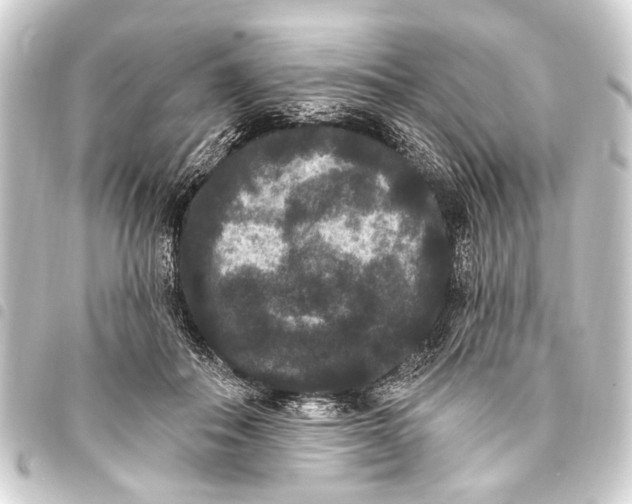 X0000093450506200711021117