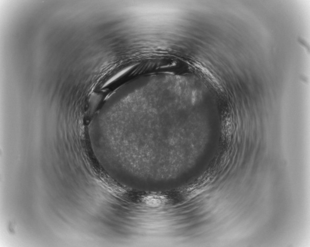 X0000093450508200711021117