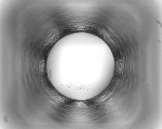 X0000093450509200711021117