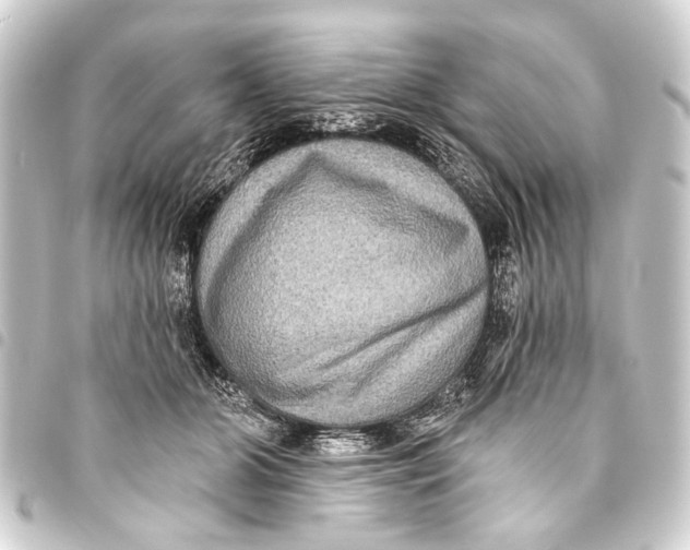 X0000093450510200711021117