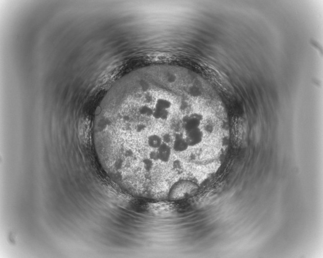 X0000093450511200711021117