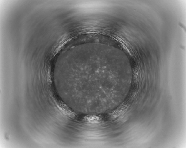 X0000093450512200711021117