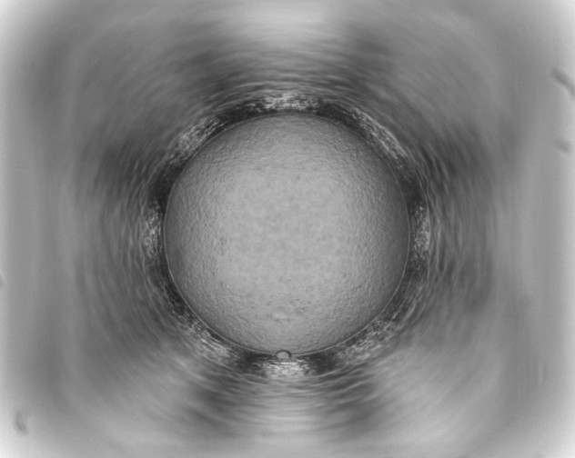 X0000093450513200711021117