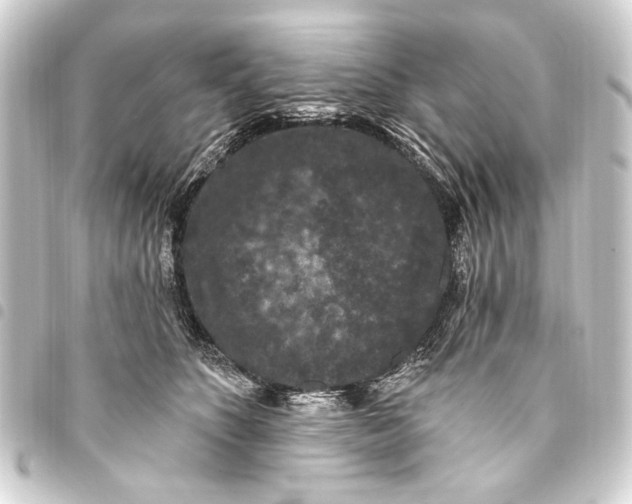 X0000093450516200711021117