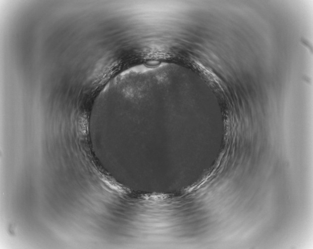 X0000093450517200711021117