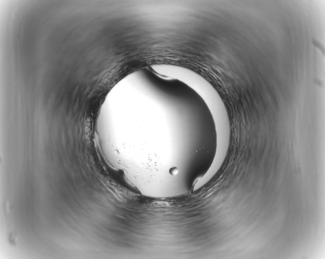 X0000093450519200711021116