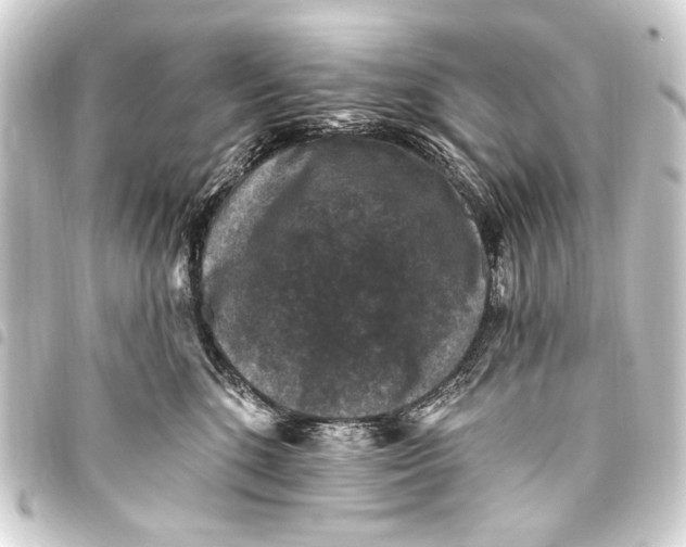 X0000093450520200711021116